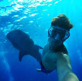 Elefante si fa un selfie 5