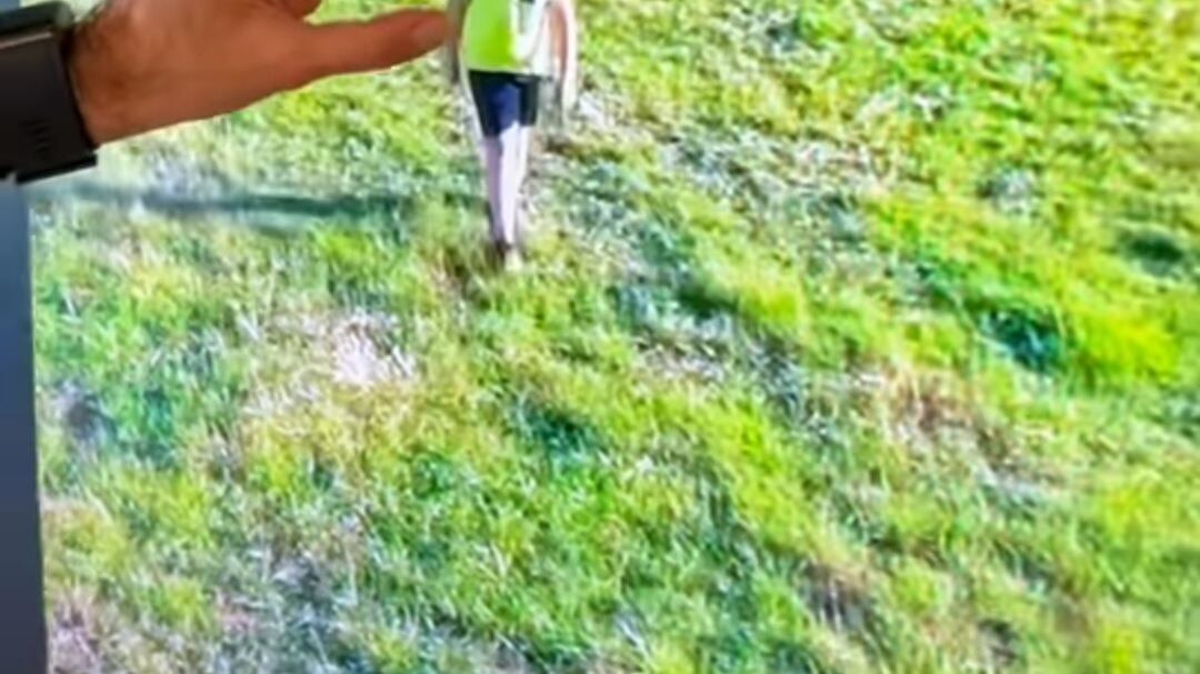Beccato dal drone in Calabria: il piromane è un bambino di dieci anni