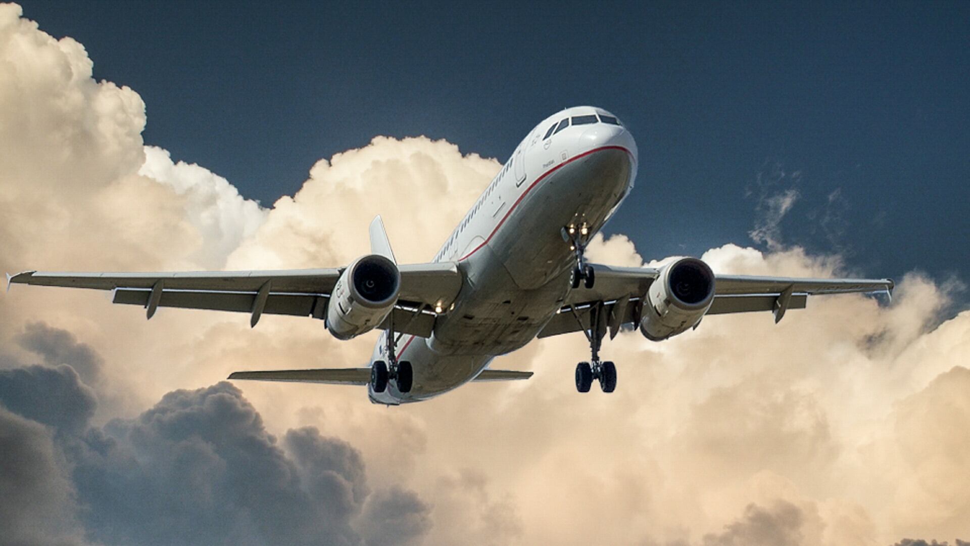 Si sente male in volo, ma il pilota si rifiuta di atterrare: muore sposina