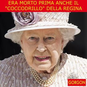 La satira del giorno. Povero "coccodrillo" 1