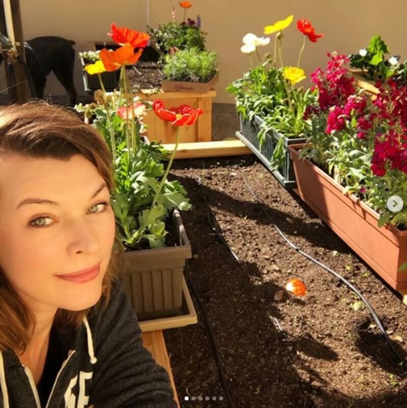Milla Jovovich, le foto più belle 10