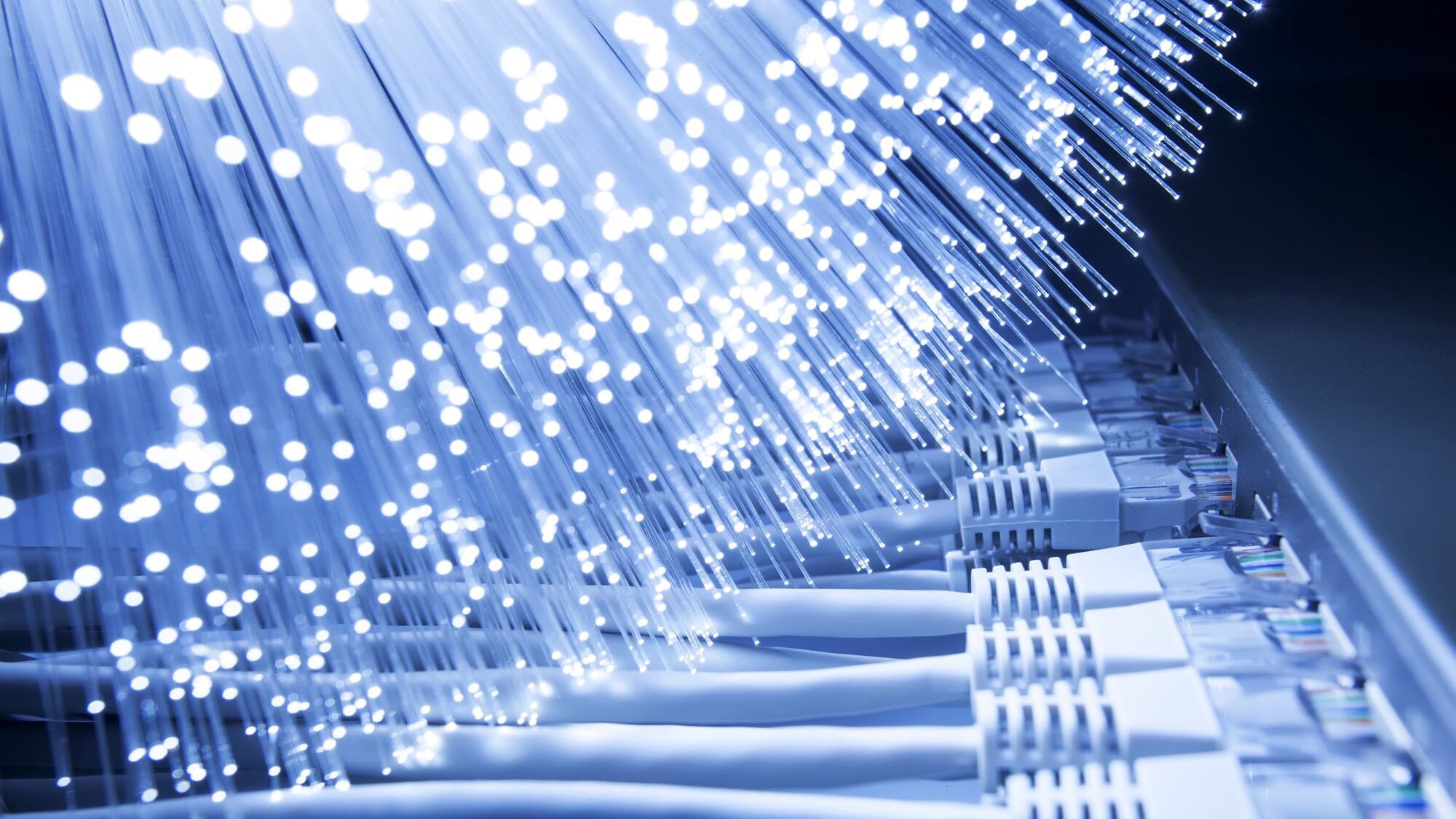 Rete internet veloce: bene le case, ma è un miraggio per molte aziende