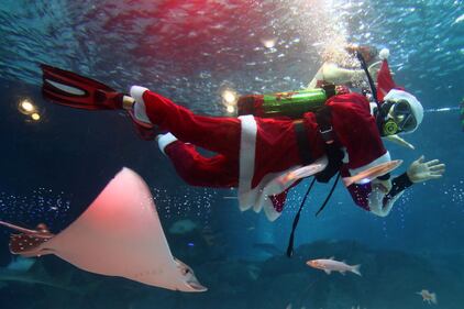 Babbo Natale sott'acqua, con i pesci di Seul 3