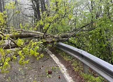 Il maltempo si accanisce sul Nord Italia: fiumi in piena, frane e smottamenti 3