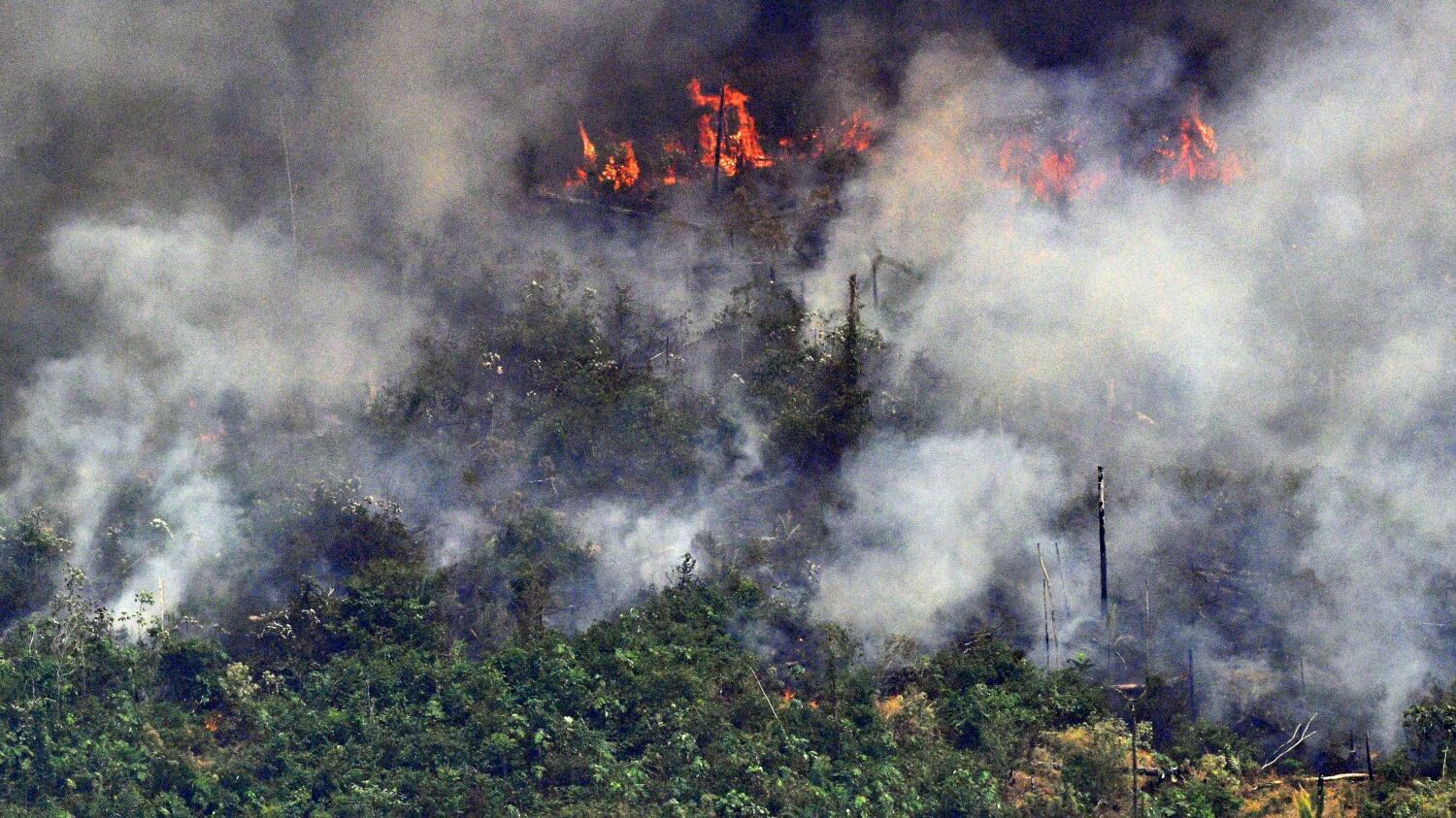 Chiesa contro Bolsonaro: deliri sull'Amazzonia. E lui manda 44mila soldati a spegnere i roghi