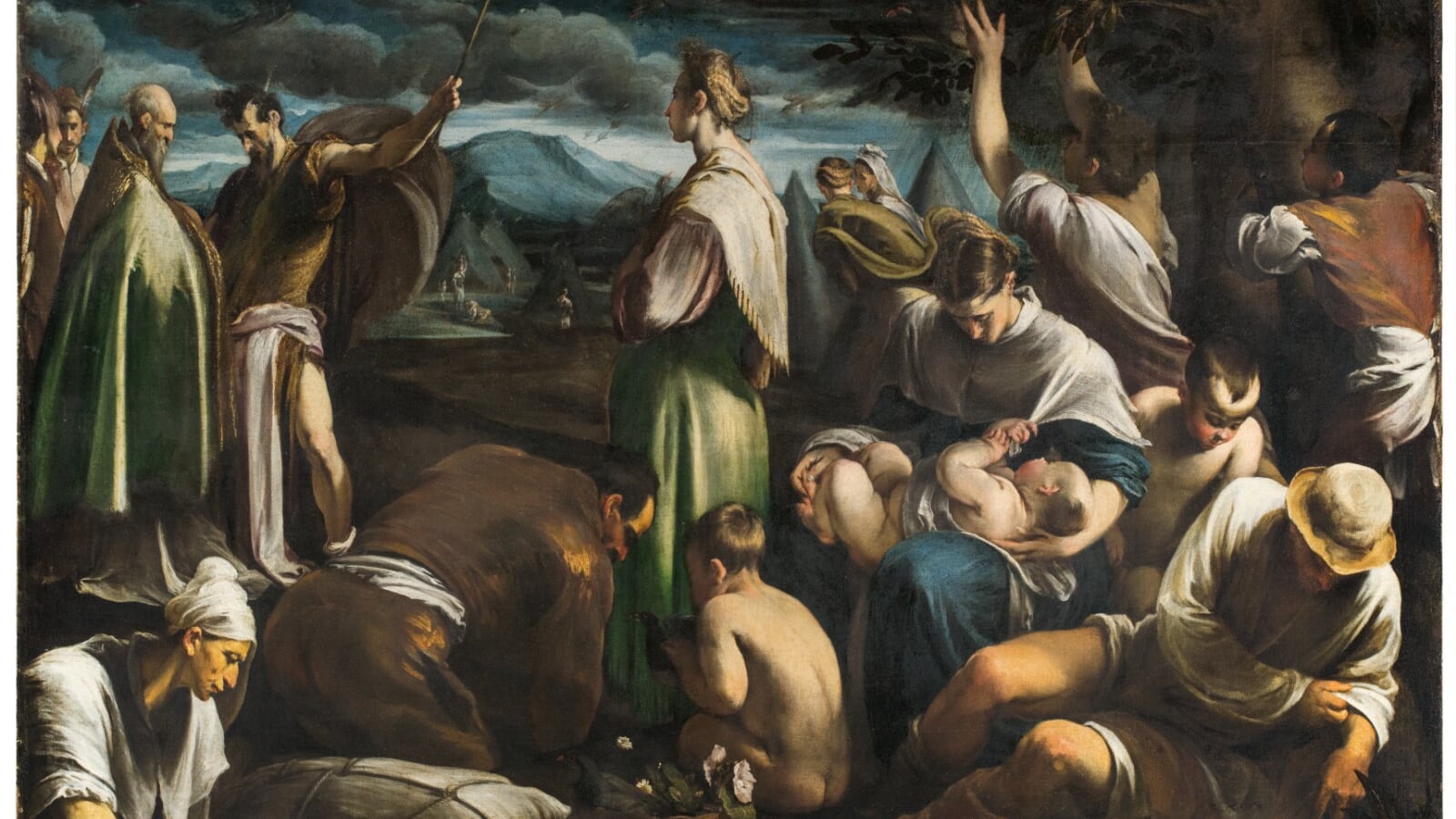 "Il miracolo delle quaglie" sarà libero di volare