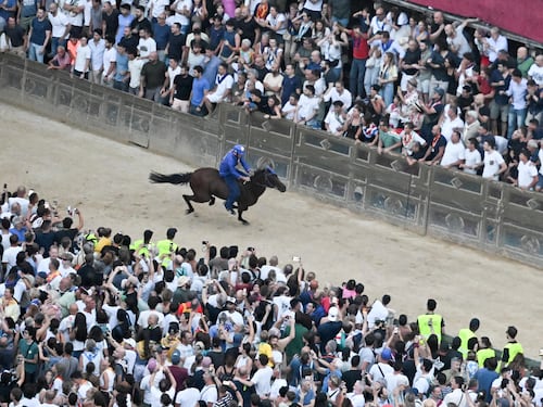 Palio di Siena, Tittia cade dopo il trionfo: trauma cranico e corsa in ospedale. Cosa è successo