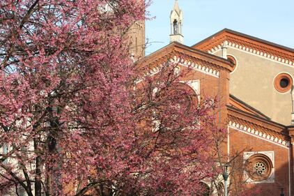 A Milano è primavera in anticipo  9