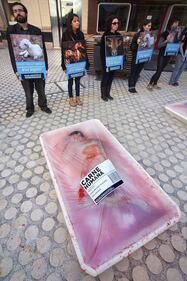 "Human meat": protesta vegana 4