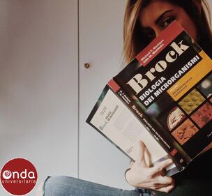 Palermo, le studentesse universitarie: "Escilo il manuale" 10