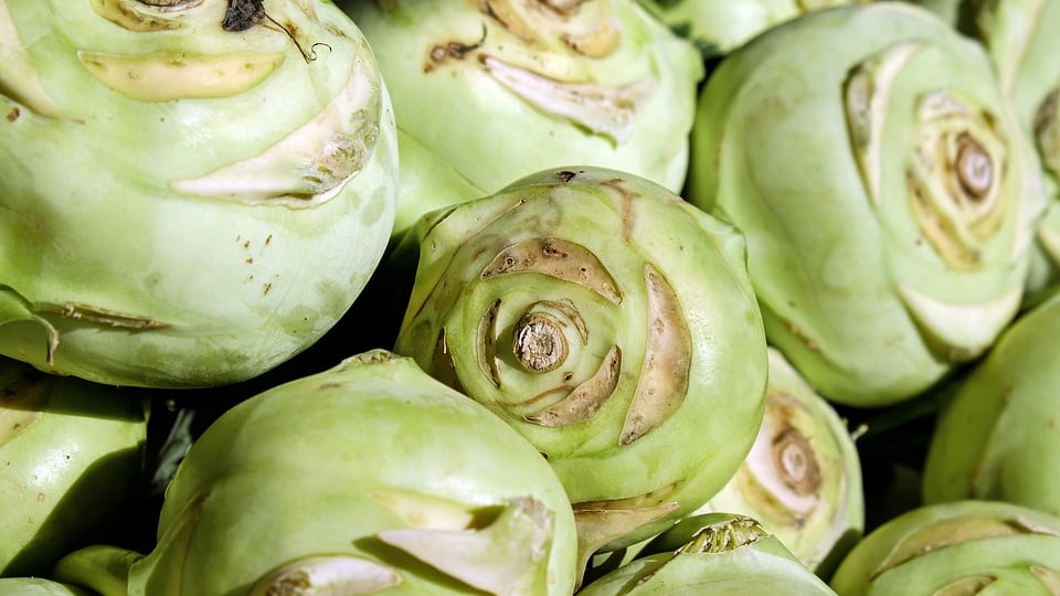 Cavolo cappuccio, l’ortaggio dall’effetto antitumorale
