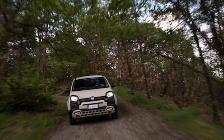 Fiat Panda 4x40° Limited Edition, guarda tutte le immagini 4