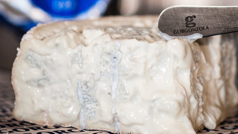 Conad, ritira dal mercato il gorgonzola: "È presente un batterio pericoloso"