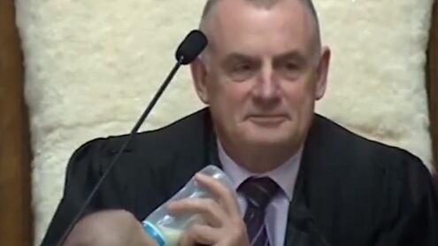 Nuova Zelanda, porta il figlio in Parlamento e presidente della Camera lo allatta