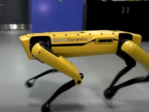 Tutta la verità dietro ai robot: cosa sanno fare davvero