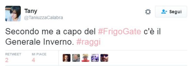Raggi: "Troppi frigoriferi per strada". E su Twitter è subito #frigogate 12