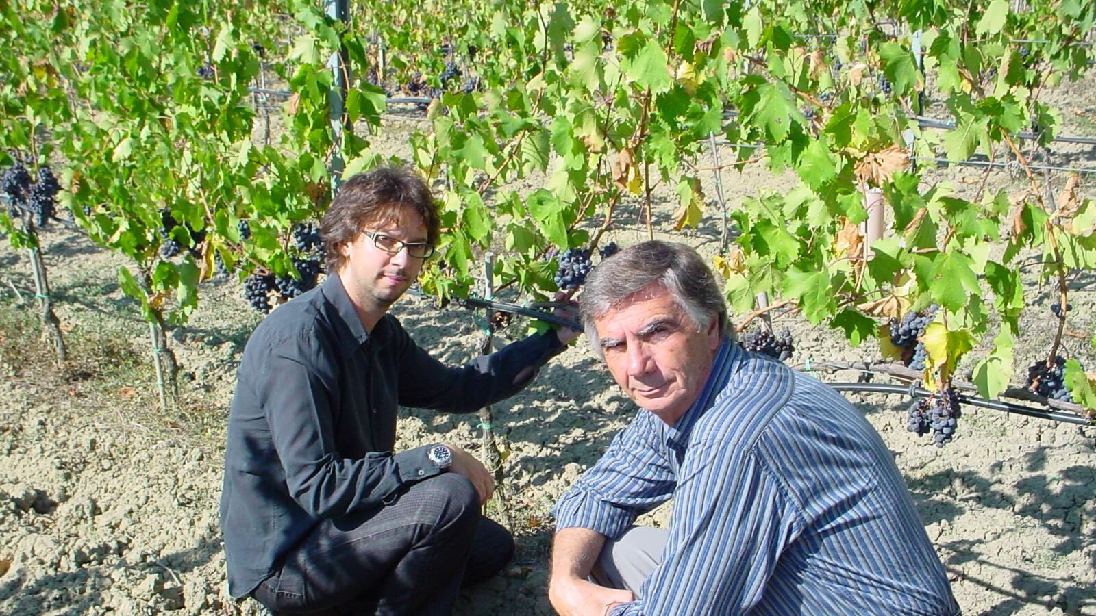 Vino, arriva il primo Chianti per vegani