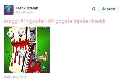 Raggi: "Troppi frigoriferi per strada". E su Twitter è subito #frigogate 15