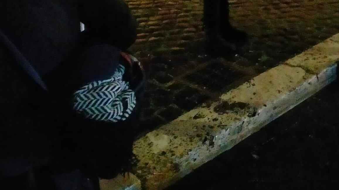 Cassonetti in fiamme e vetrate in frantumi: blitz degli anarchici a Roma