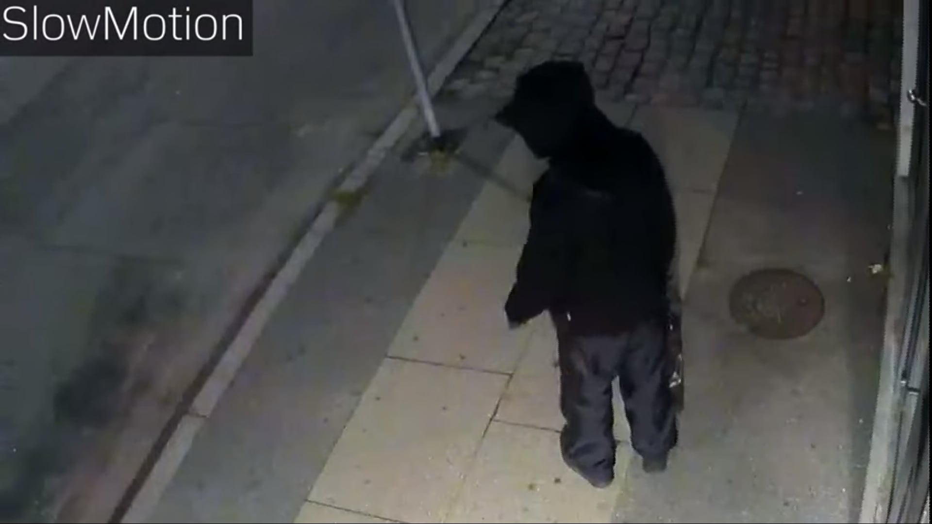 Esplosione stazione polizia di Copenaghen: ecco l'attentatore