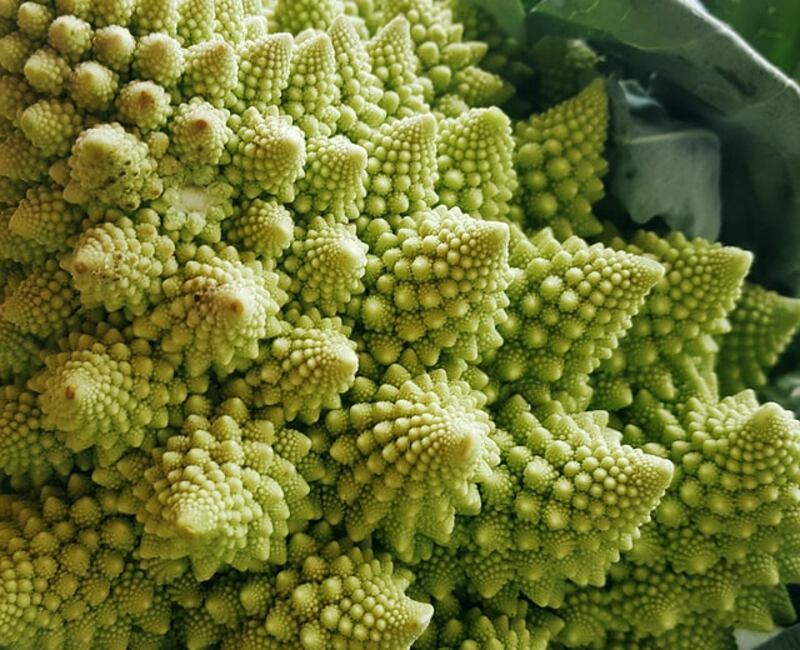 Broccolo romano