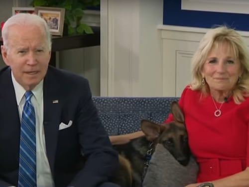 Il cane di Biden è pericoloso? Documentate 24 aggressioni ai danni del personale della Casa Bianca