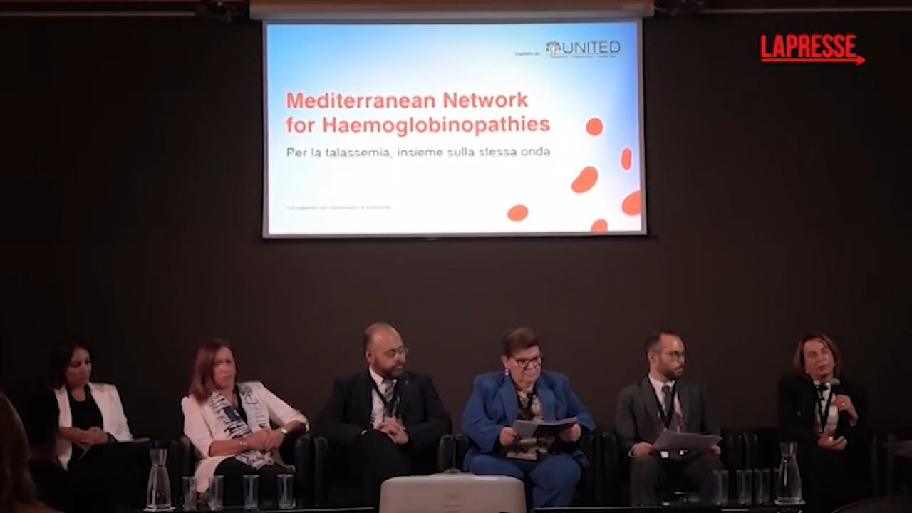 Mediterranean Network