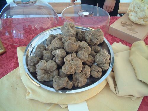 Truffe sui tartufi: spacciati per italiani arrivano dall'Albania e dall'Est Europa