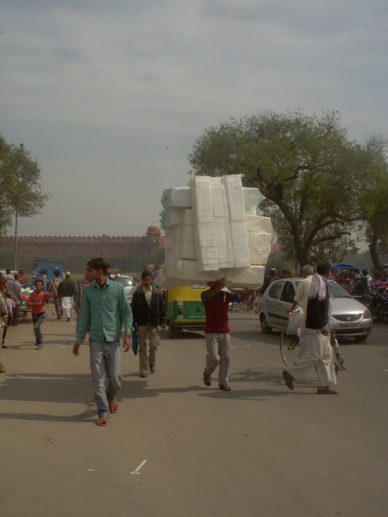 Delhi e il fascino disordinato della sua umanità 3