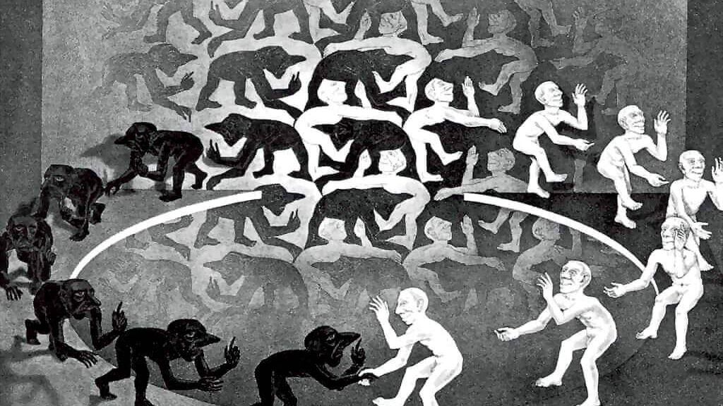 "Noi, umani fatti di storie misteriose come l'uomo di Flores"