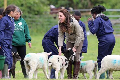 Kate dà il biberon agli agnellini 3