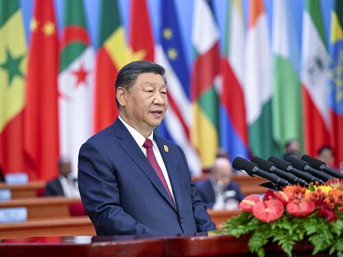 Modernizzazione, sviluppo green e più cooperazione economica: il futuro condiviso di Cina e Africa