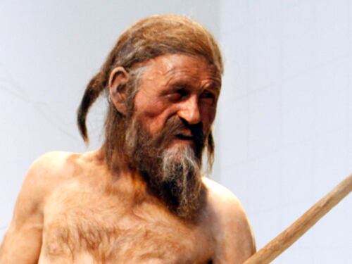 "Otzi ucciso dal freddo". L'ipotesi sulla morte dell'uomo del Similaun