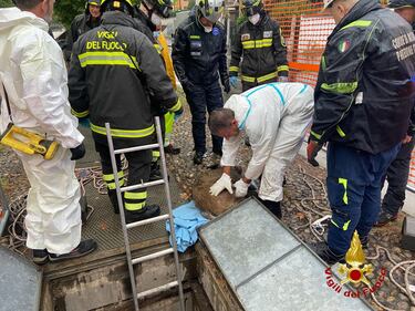 Muore dopo il recupero il cinghiale che nuotava in Darsena 3