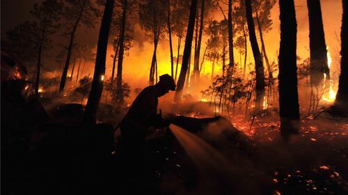 Colossale incendio in Portogallo 7