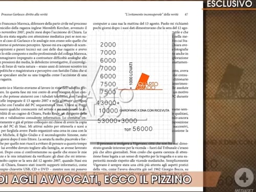 "1000 Lovati, 10000 Garofano". Ecco cosa c’è nel secondo foglietto di casa Sempio