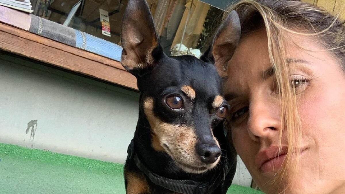 "Ciao Mia, piccola grande guerriera". Il triste annuncio di Elisabetta Canalis