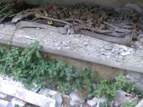 Lo scempio al cimitero: tra il degrado e l'incuria le ossa finiscono esposte