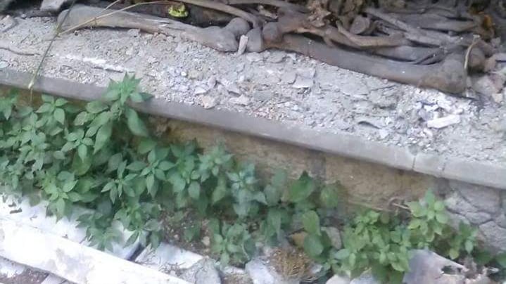 Lo scempio al cimitero: tra il degrado e l'incuria le ossa finiscono esposte