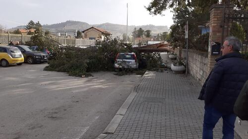 Vento forte a Pescara, albero cade su una macchina 1