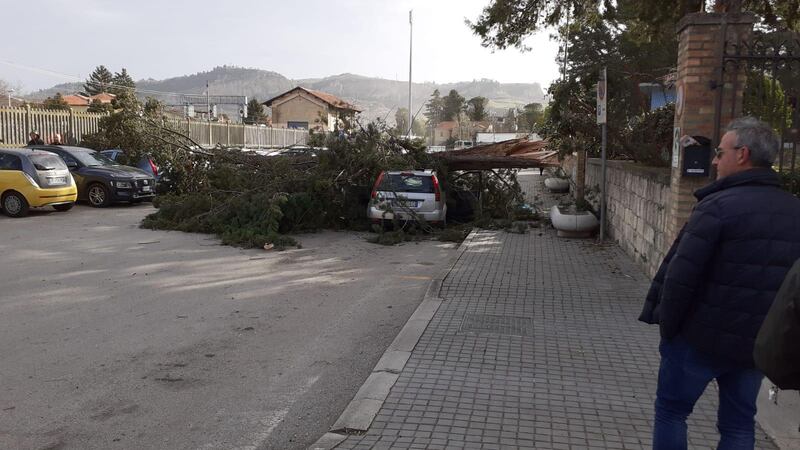 Vento forte a Pescara, albero cade su una macchina 1
