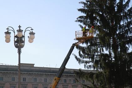 Milano, è arrivato l'abero di Natale in Piazza Duomo 9