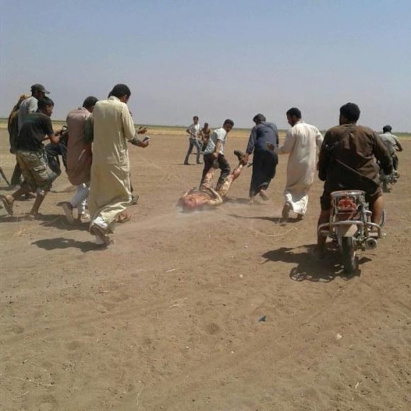 Siria, abbattuto elicottero russo 10