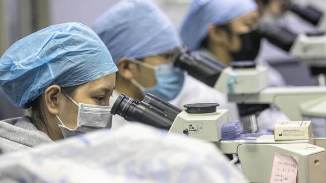 Coronavirus, a che punto è il vaccino