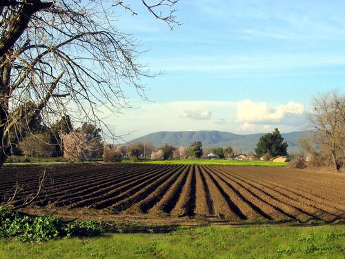 L'allarme degli agricoltori: "Torna l'Imu? Per noi è finita"