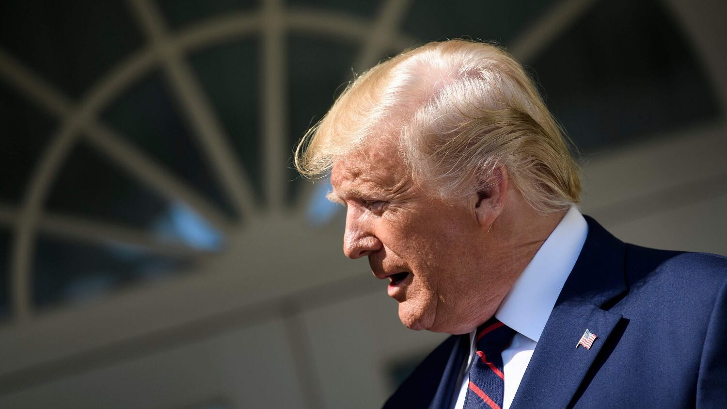 Nuove accuse a Trump: "Frequentava un sex club gestito dalla mafia"