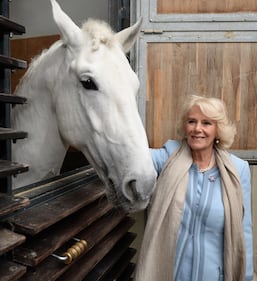 Carlo e Camilla alla Scuola di equitazione spagnola di Vienna 5
