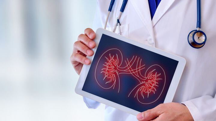 Cos’è la malattia cronica dei reni che preoccupa