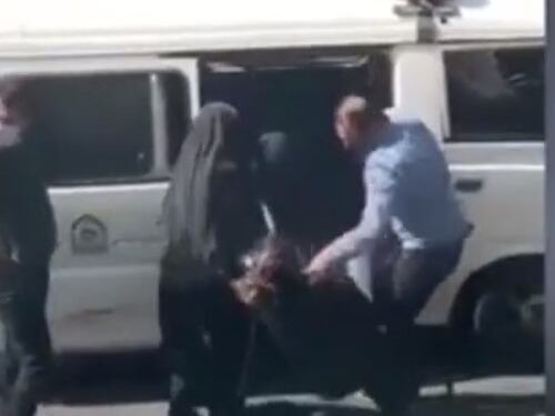"Non indossa il velo". E scatta la violenza con un bastone da accalappiacani
