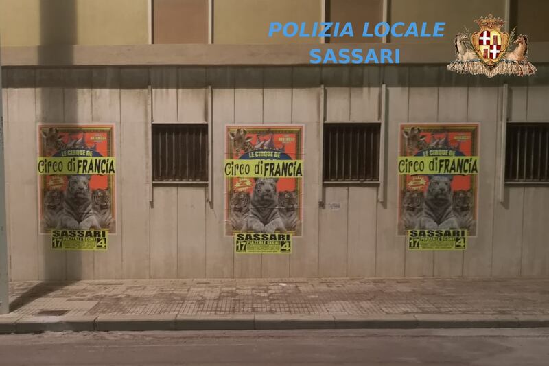 Sassari, manifesti affissi abusivamente in città 2